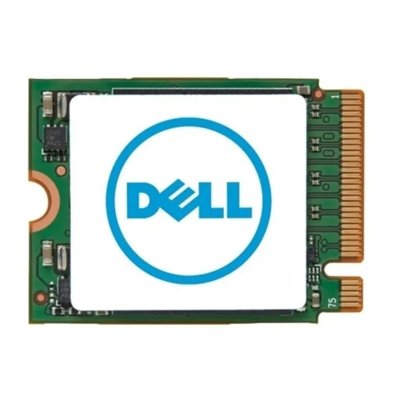 Disco Duro DELL KFV6T 256GB M.2 SSD PCIe NVMe Compatto 2230
