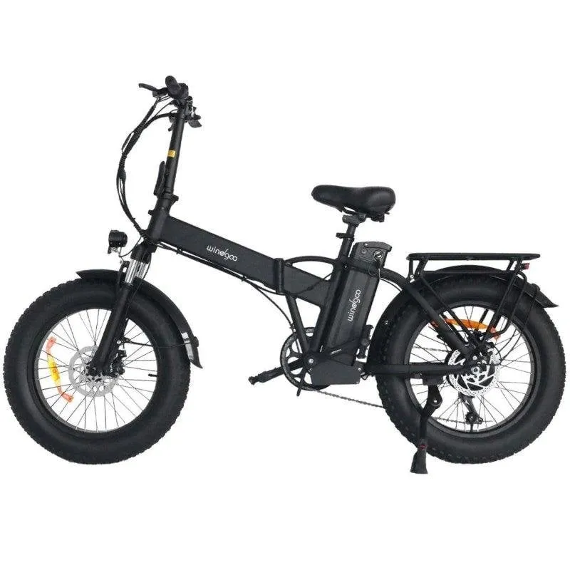 Bicicletta elettrica Windgoo F21 Pro 250W 48V 12,5Ah 20x4.0 nera
