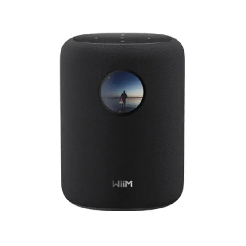 Altavoces WiiM 2 vie wireless e cablati 100W multiroom touch
