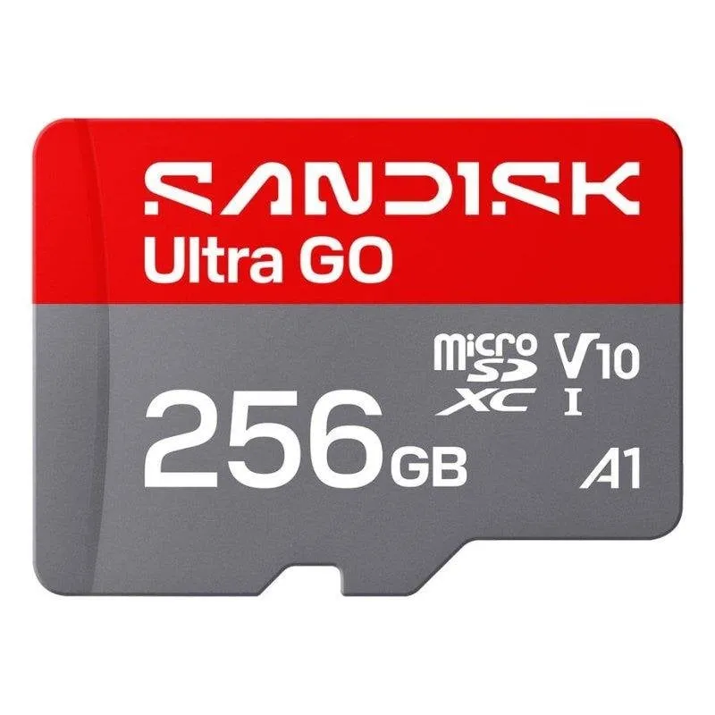 Scheda di memoria SanDisk Ultra GO 256GB UHS-I 190MB/s V10 Grigio Rosso