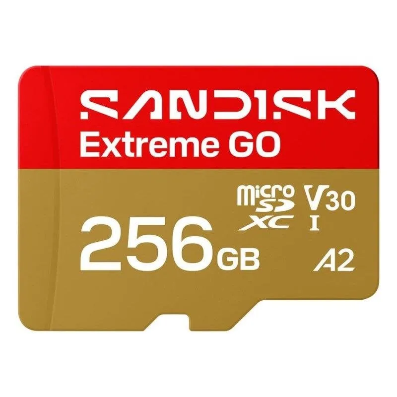 Scheda microSD SanDisk Extreme GO 256 GB UHS-I 240 MB/s U3 V30 A2