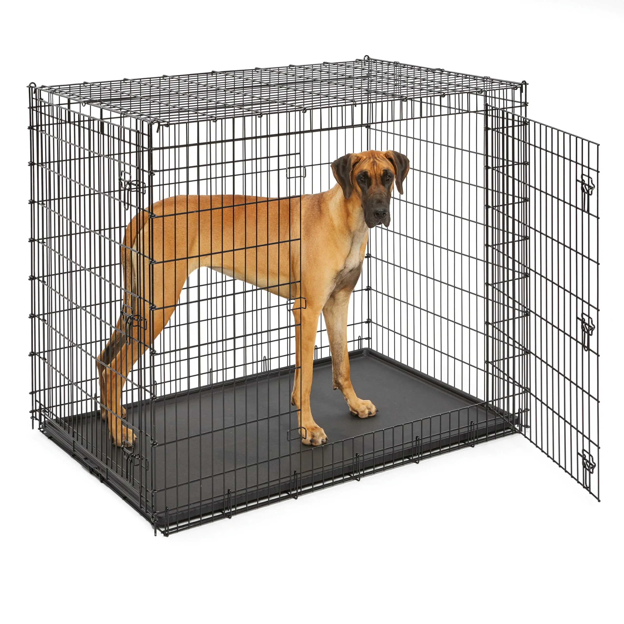 MidWest Homes for Pets Serie Solutions Gabbia per cani XXL a doppia porta da 137 cm, per le razze più grandi, montaggio robusto con perno a goccia, rivestimento in elettrodeposizione nero
