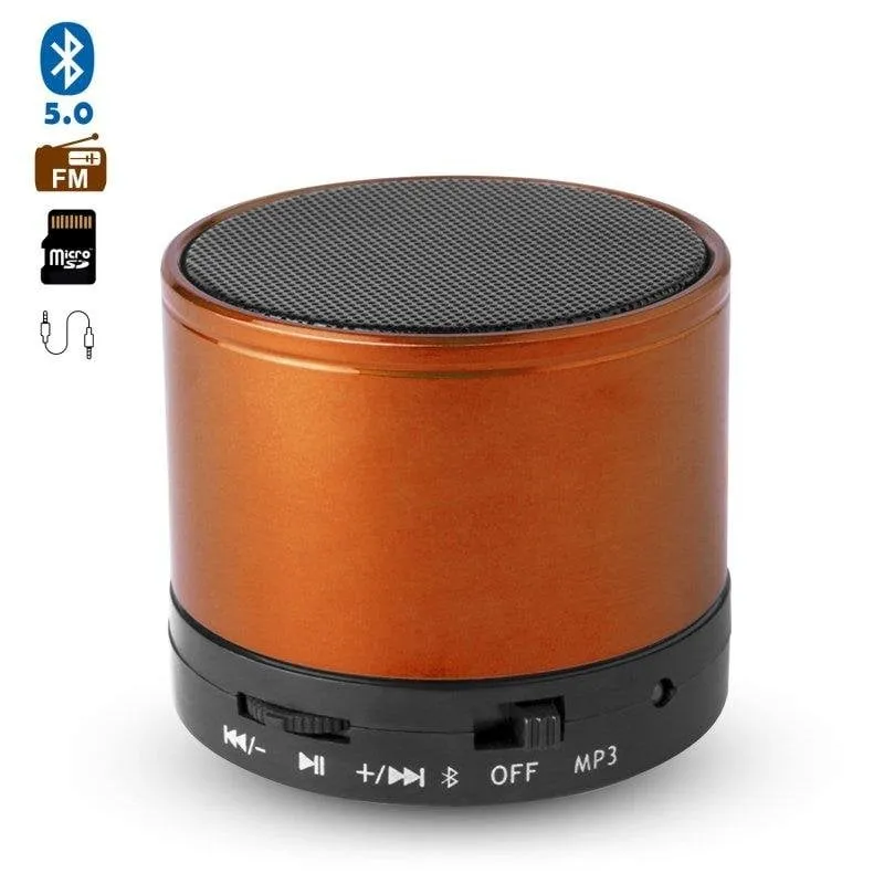 Altoparlanti Dam Electronics Martins Bluetooth 3.0 3W con vivavoce e radio FM