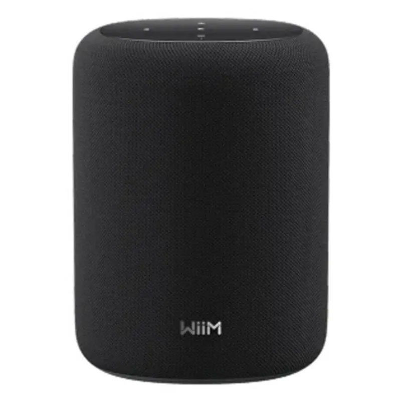 Altoparlanti WiiM Portatili 2.0 canali 100W Wi-Fi 6E con Alexa integrata