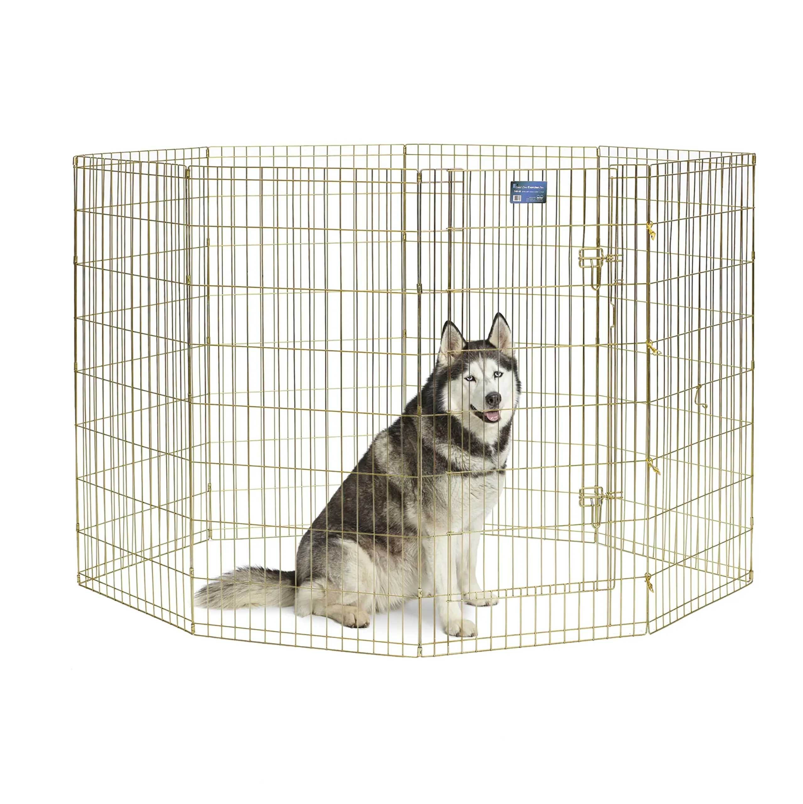 MidWest Homes for Pets 548-48, Recinto per animali in metallo, pieghevole, con porta e picchetti, offre 1,5 metri di spazio per giocare e muoversi, 122 cm di altezza, oro zinco