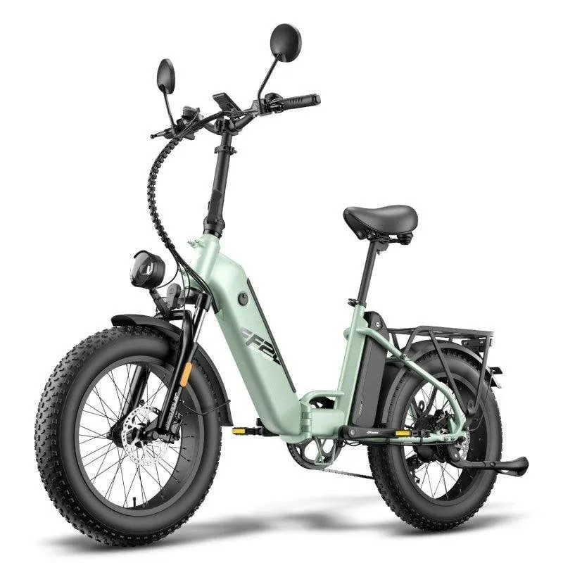 Bicicletta Elettrica Pieghevole Fafrees FF20 Polar 500W 48V 20" Freni Idraulici Pneumatici Design Compatto