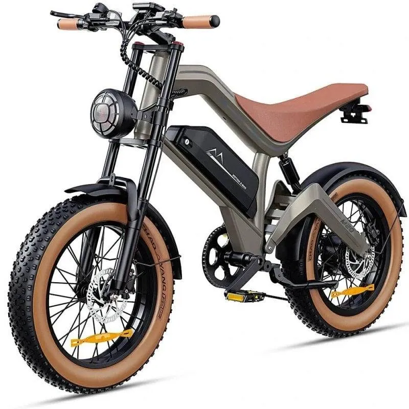 Bicicletta elettrica Dyu M20 1500W 48V 18.2Ah 20 pollici pneumatici larghi