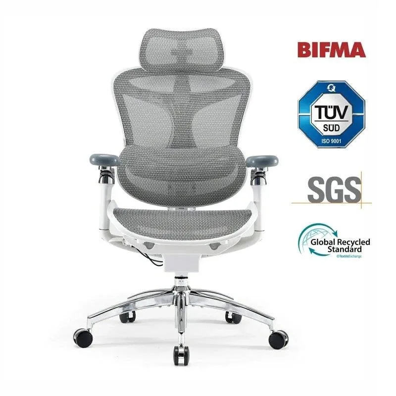 Sedia da Ufficio Ergonomica Sihoo Doro C300 Pro - Braccioli 5D, Supporto Lombare Auto-regolabile