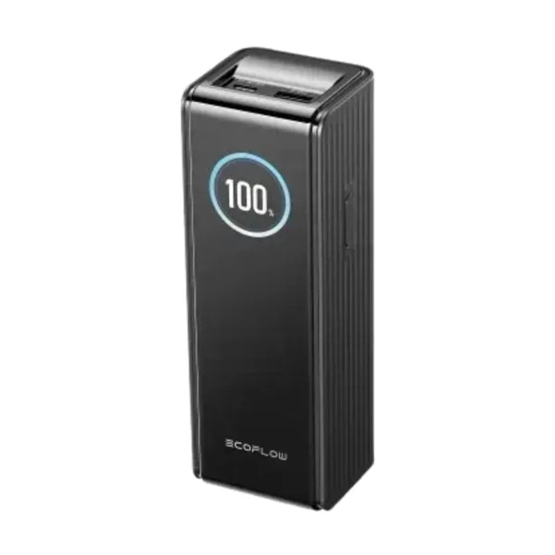 Batteria Esterna EcoFlow RAPID 25000 mAh 170W Nero