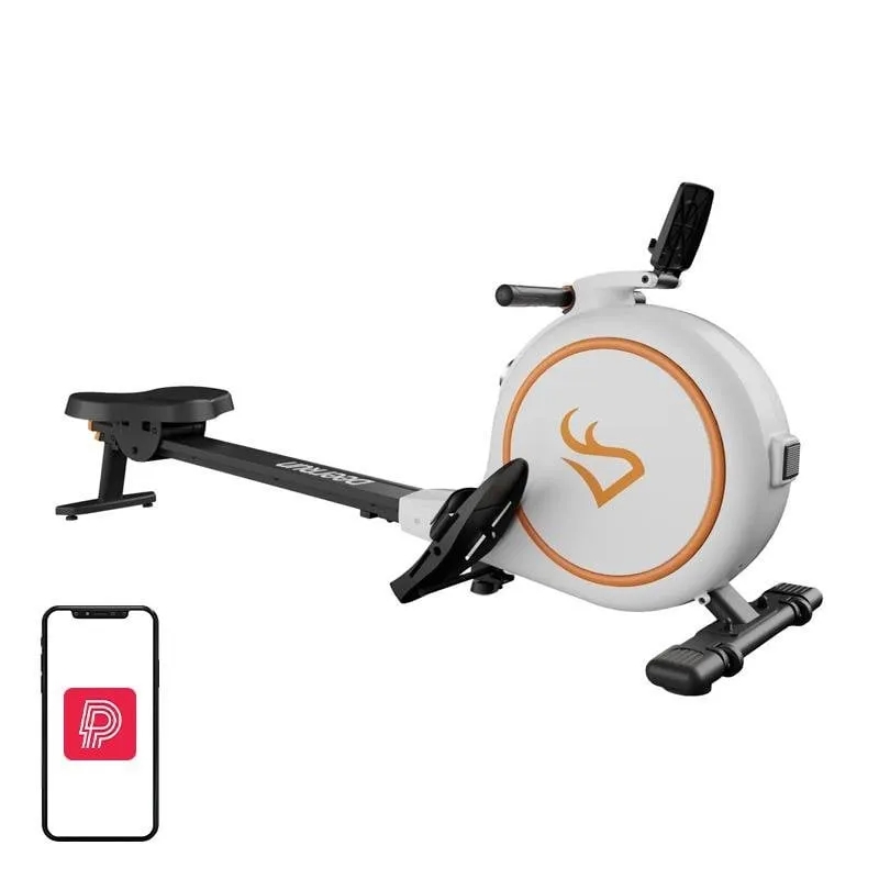 Remo Magnético DeerRun RW600 32 Livelli di Resistenza App PitPat Bianco