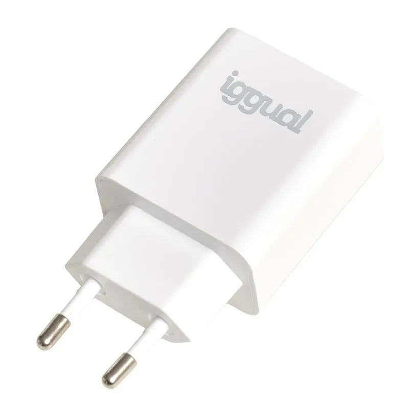 Caricatore USB PD Tipo C 20W IGGUAL Interno Bianco
