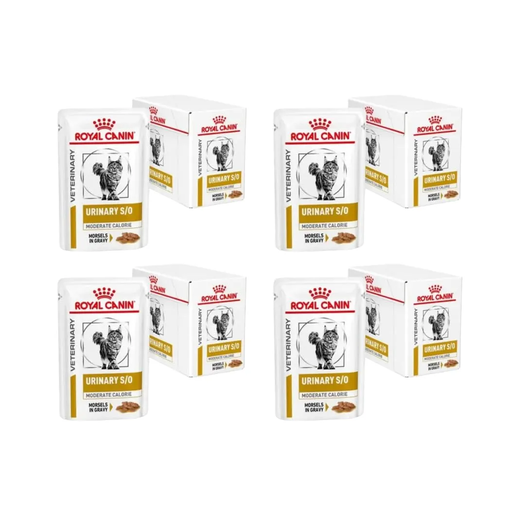 Royal Canin Veterinary Urinary s/o Moderate Calorie | Confezione da 4 | 4 x 12 x 85 g | Alimento dietetico completo per gatti | Per sciogliere i calcoli di struvite | Basso valore RSS