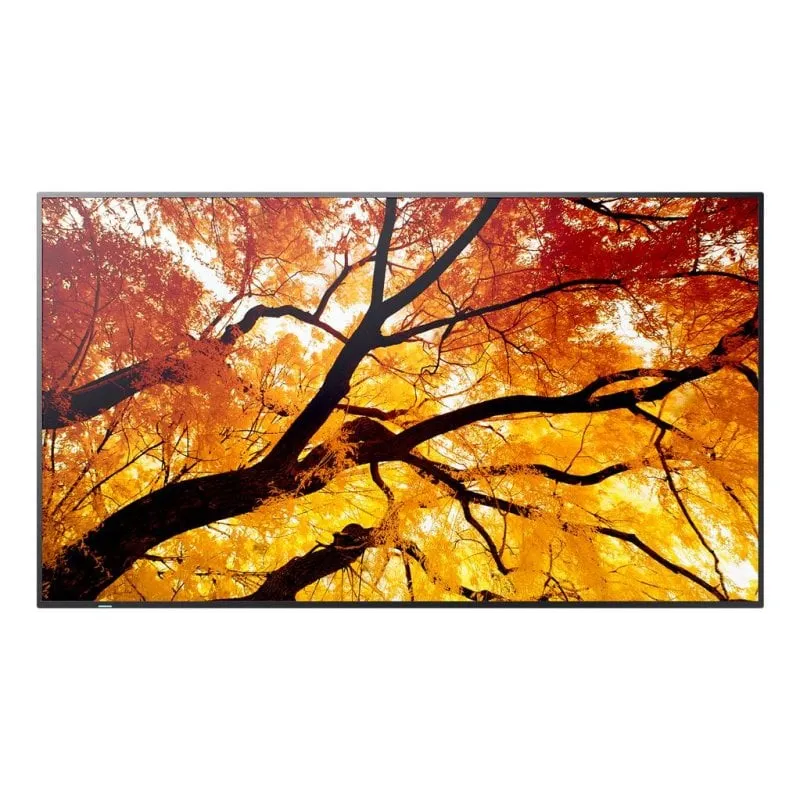 Monitor PC NEC MultiSync M862 86" UltraHD 4K 60Hz IPS HDR Altoparlanti Integrati