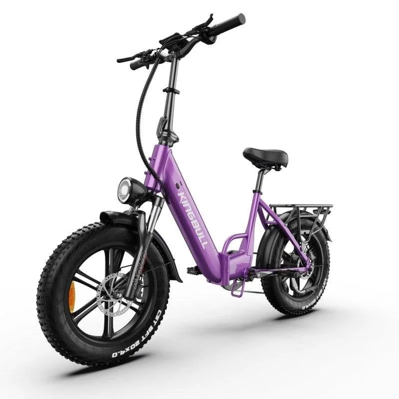 Bicicletta Elettrica Maxturn Literider 2.0 500W 48V 13.5Ah 20 Pollici Freni a Disco Idraulici Viola