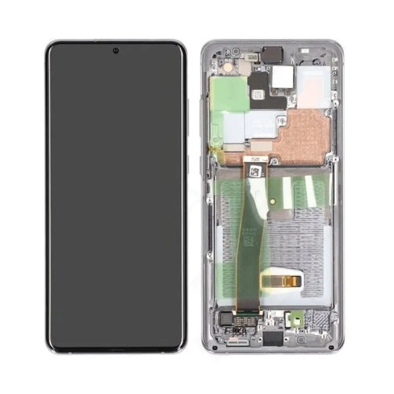 Display Galaxy S20 Ultra Grigio (senza Fotocamera Frontale)