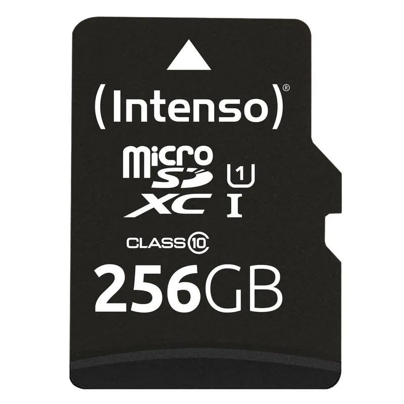 Scheda microSD Intenso 256GB UHS-I Performance Classe 10
