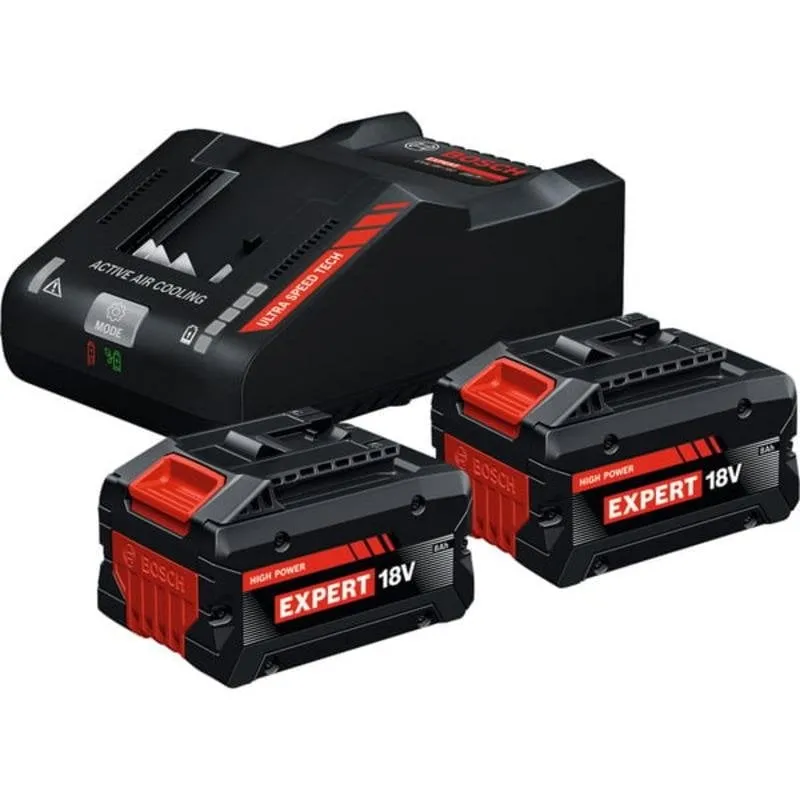 Kit Carica Batterie Bosch Expert EXAL18V-160 2x 8Ah 18V