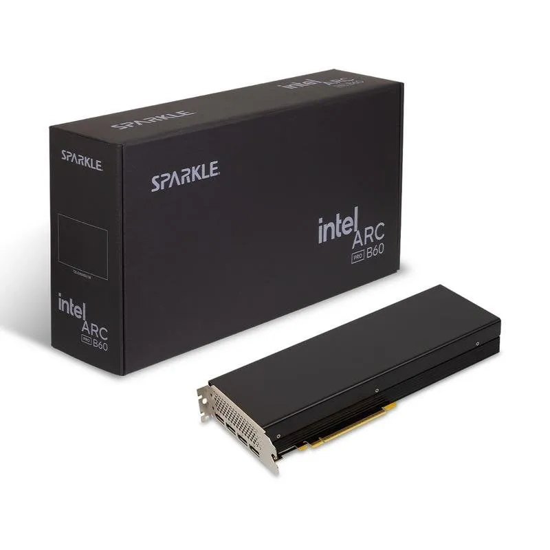 Scheda Grafica Sparkle Intel Arc Pro B60 24GB GDDR6 Passive