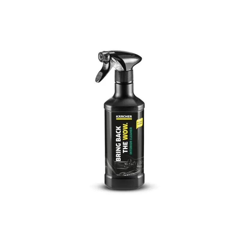 Detergente interno Kärcher RM 651 500 ml spray auto