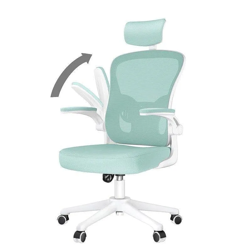 Sedia da ufficio Naspaluro Ergonomica 2D braccioli regolabili