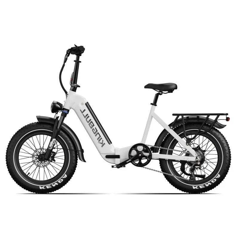 Bicicletta Elettrica Kingbull Verve 48V20Ah 130km