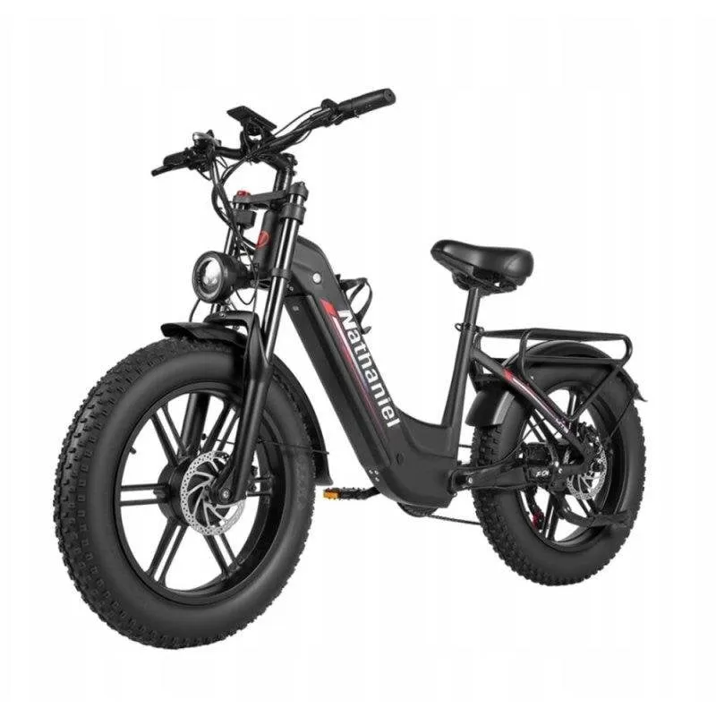 Ciclista Elettrica Nathaniel SYR08 Doppio Motore 1000W 48V 20Ah 20 pollici
