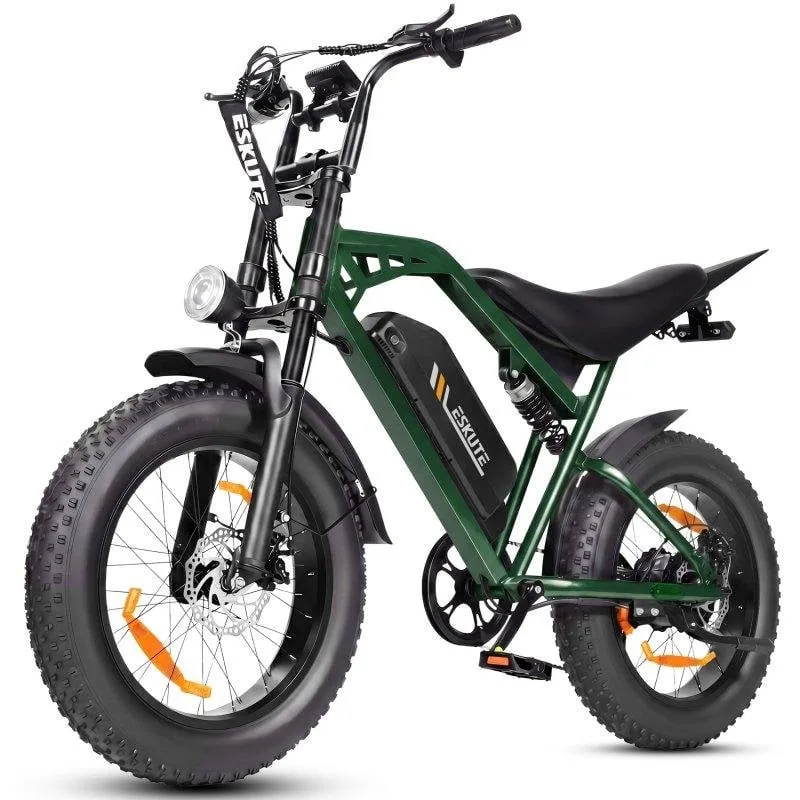Bicicletta elettrica ESKUTE V202 250W 48V Pneumatici 20x4 Sospensione LED