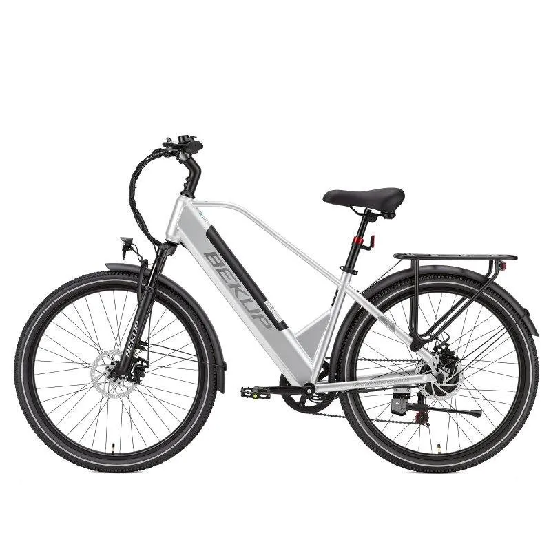 Bicicletta elettrica Bekup V2 - Motore 250 W e Batteria 36 V 14,5 Ah