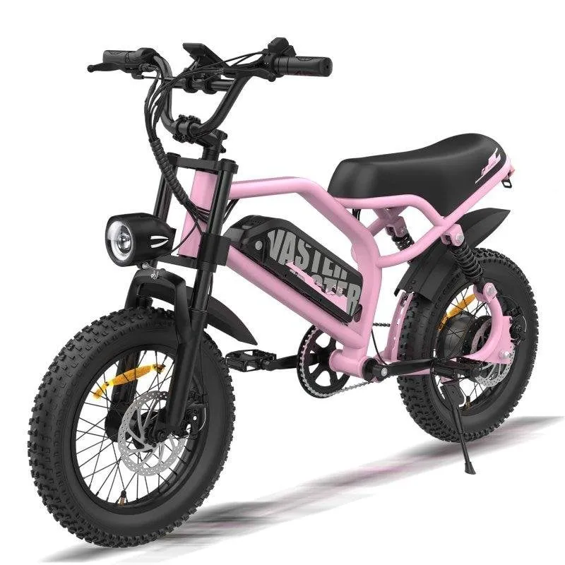 Bicicletta elettrica Avdl A13 Rosa 16 pollici