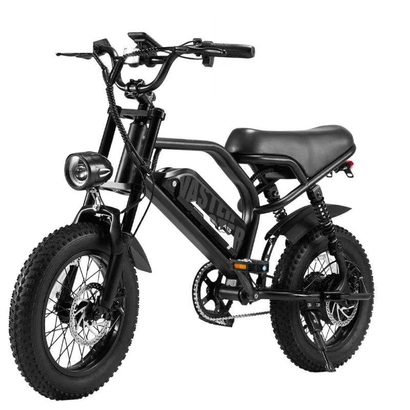 Bicicletta elettrica AVDL A13 pieghevole 16 pollici 250W batteria 36V 12,8Ah IPX4