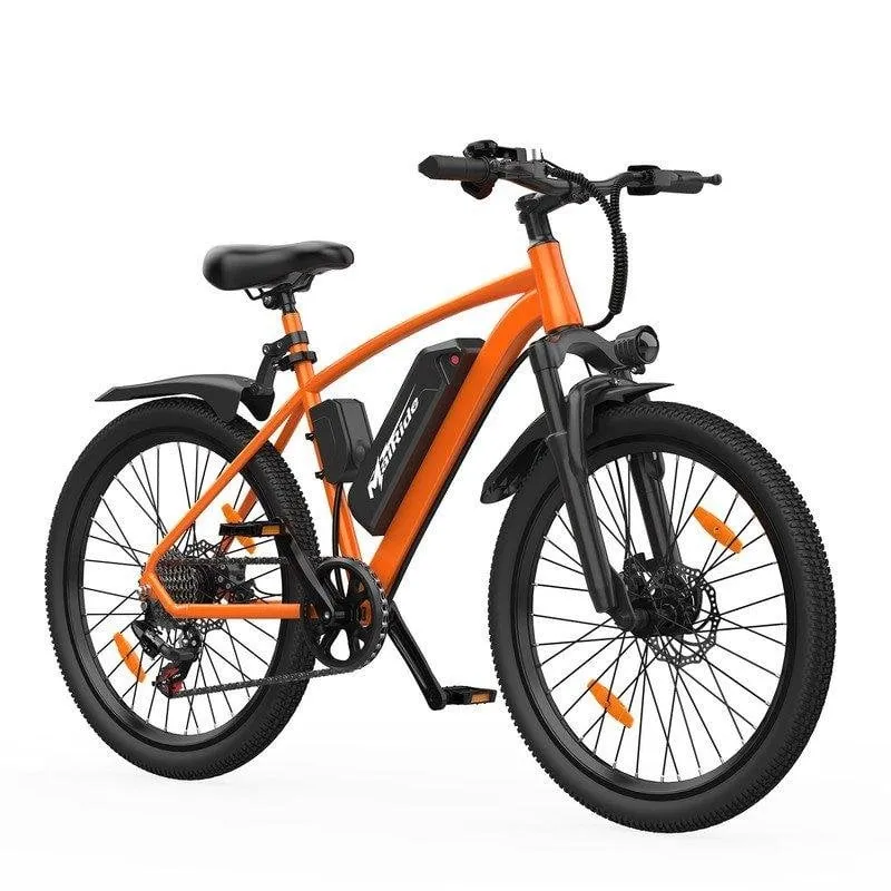 Bicicletta Elettrica Aairsk 250 W 26 Pollici Batteria Litio 36 V 10 Ah