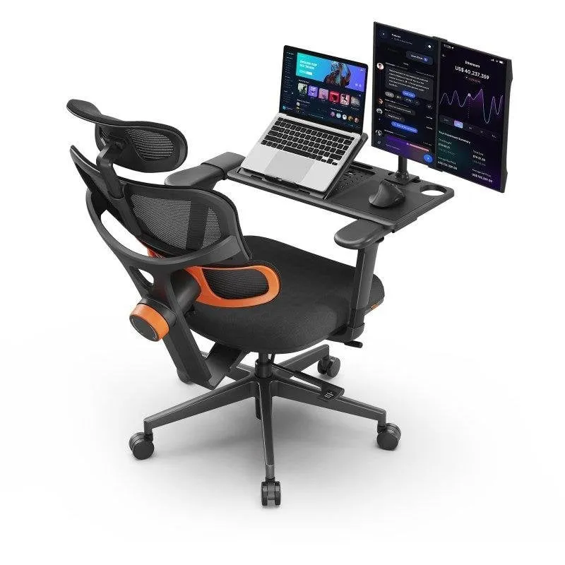 Sedia Newtral NT001 Ergonomica con Sostegno Lombare
