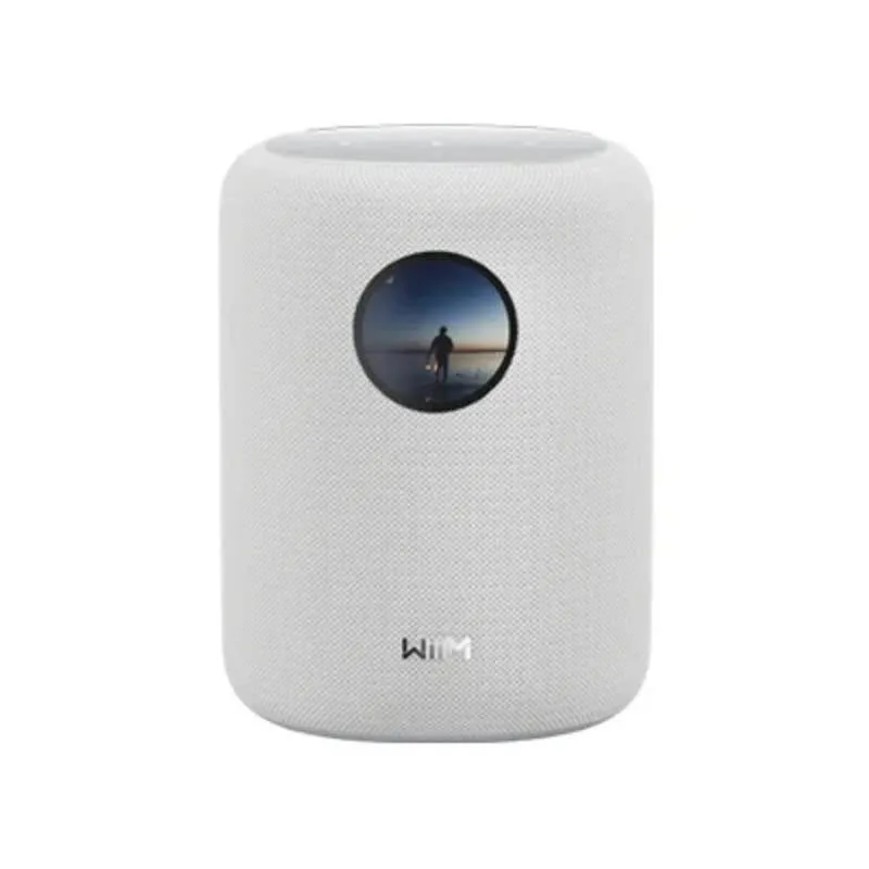 Altoparlanti WiiM Sound 2 vie Wi-Fi 6E Bluetooth 5.3 100 W Bianco