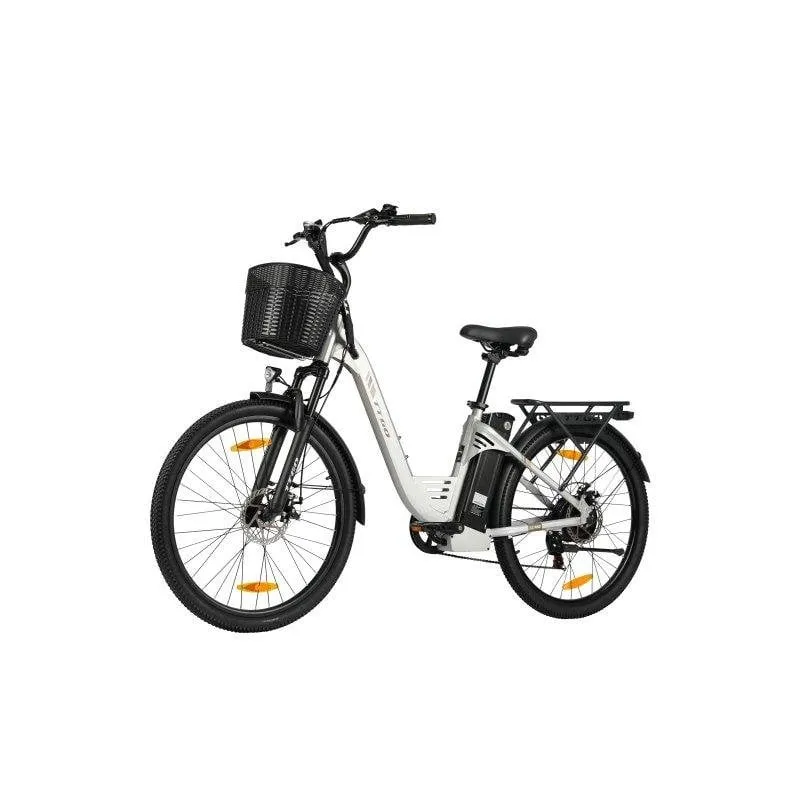 Bicicletta elettrica TTGO C2 Pro 250W 36V 18Ah 26 pollici