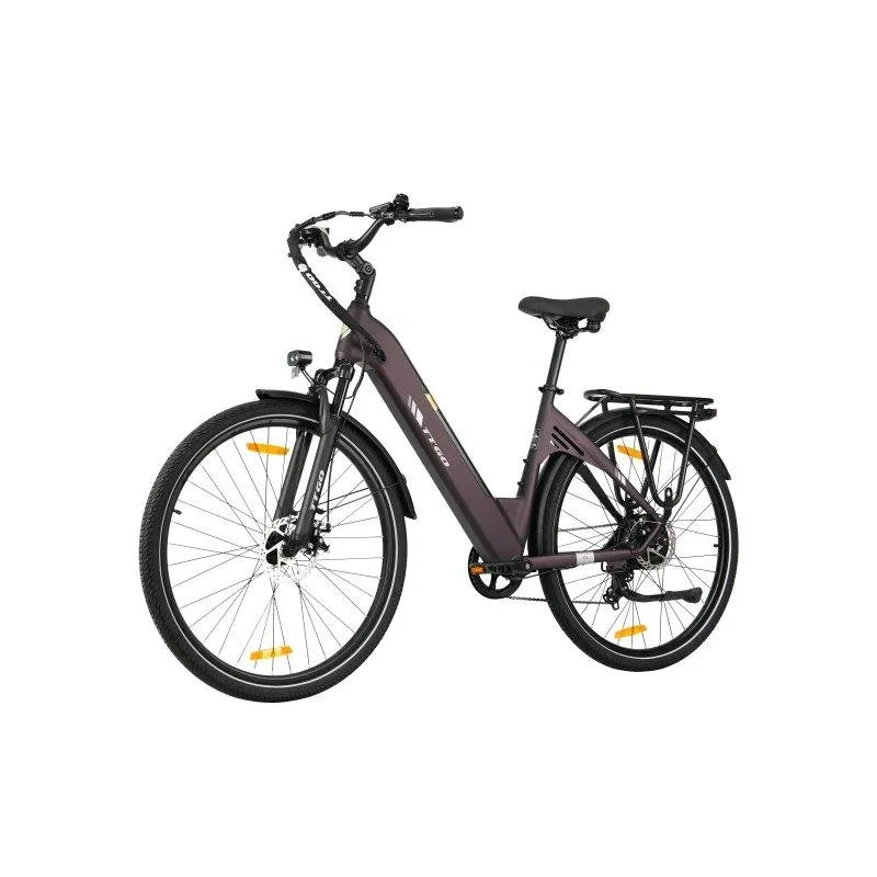 Bicicletta elettrica TTGO C3 SE 28 pollici 36V 250W