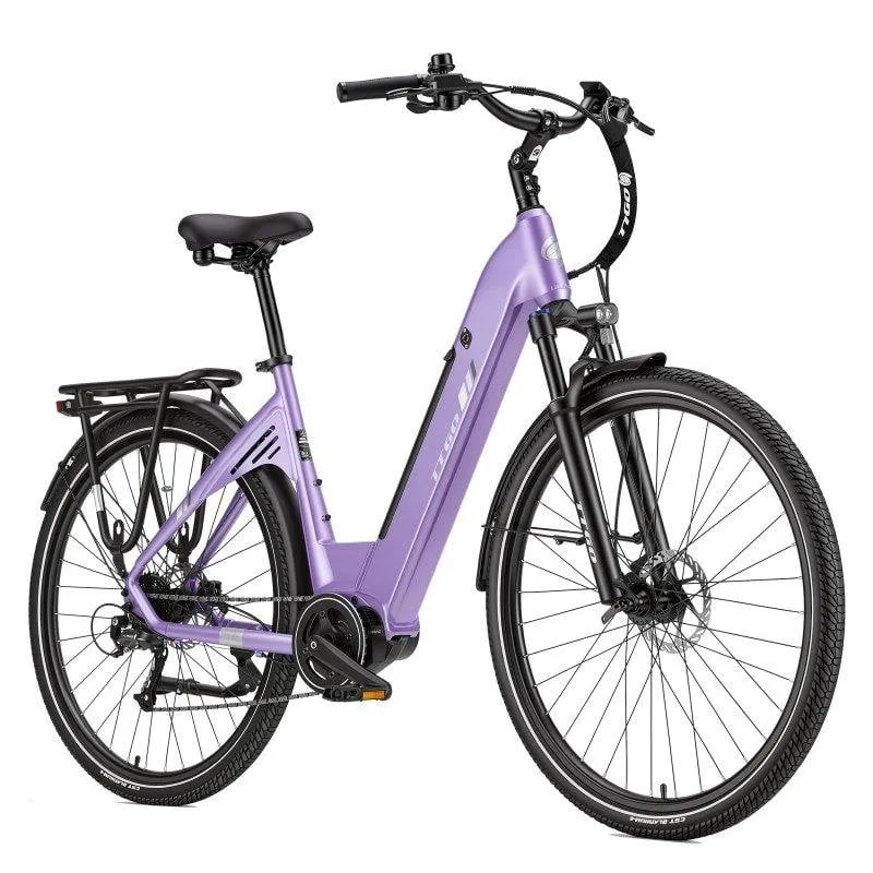 Bicicletta Elettrica TTGO C7 SE Motore Centrale 250W