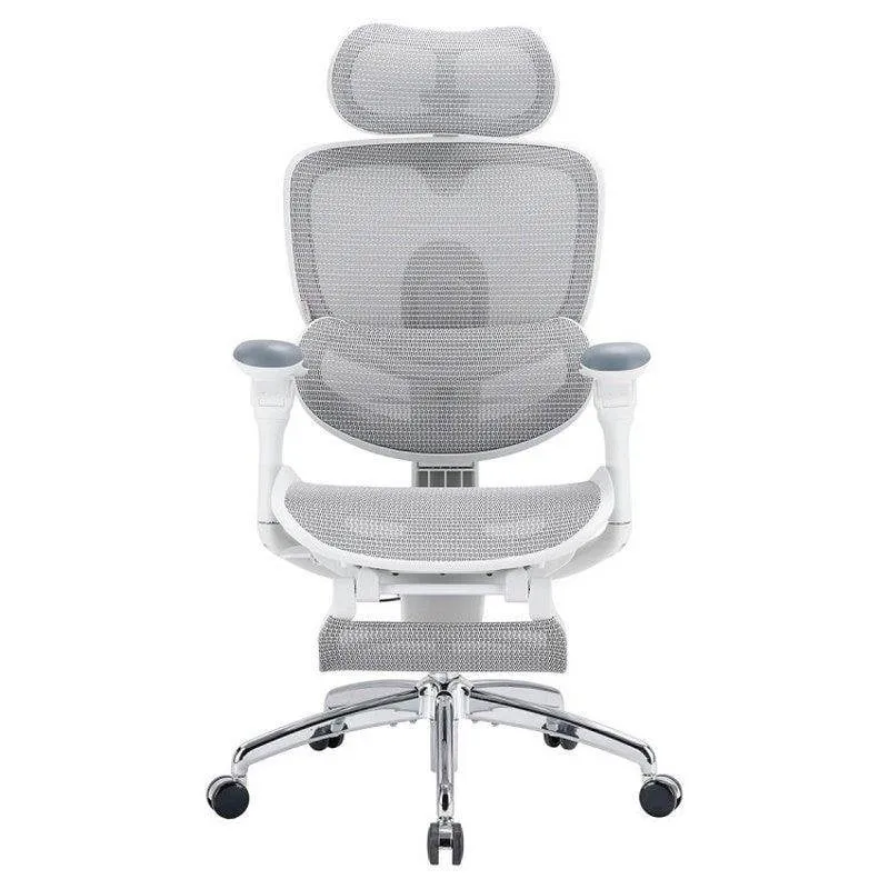 Sihoo C300 Pro V2 Sedia Ergonomica con Supporto Lombare Auto Regolante