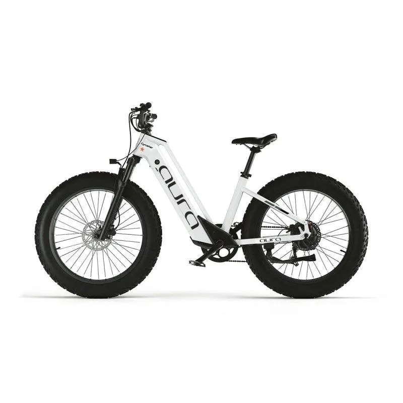 Bicicletta Elettrica Cyrusher Aura 52V 250W