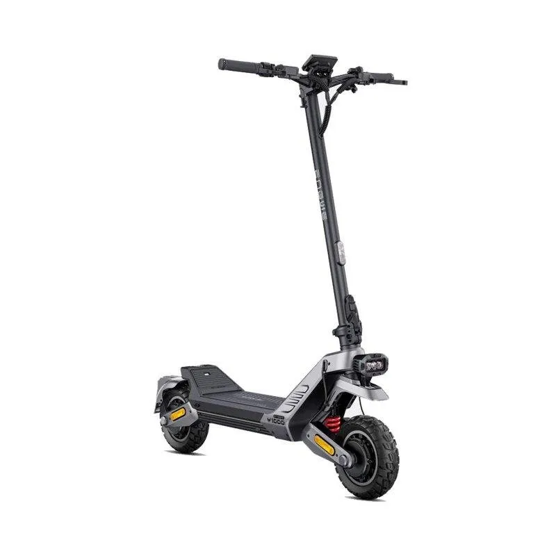 Monopattino elettrico ENGWE Y1000 800W Doppio motore Autonomia 100km Pieghevole Grigio