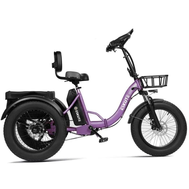 Bicicletta elettrica Eskute T302 Pro 250W 48V 20,8Ah pieghevole viola