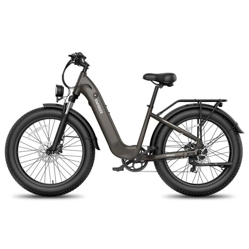 Bicicletta Elettrica Fafrees F26 Rover 48V 20Ah 250W Pneumatici 26x4,0