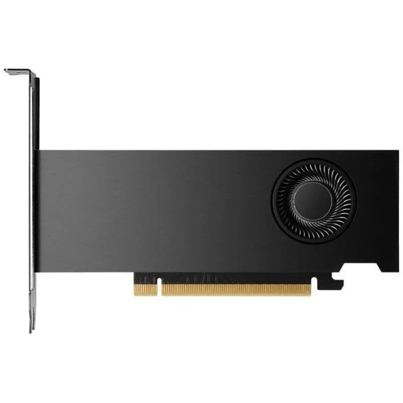 Scheda Grafica NVIDIA RTX 2000 Ada 12GB GDDR6
