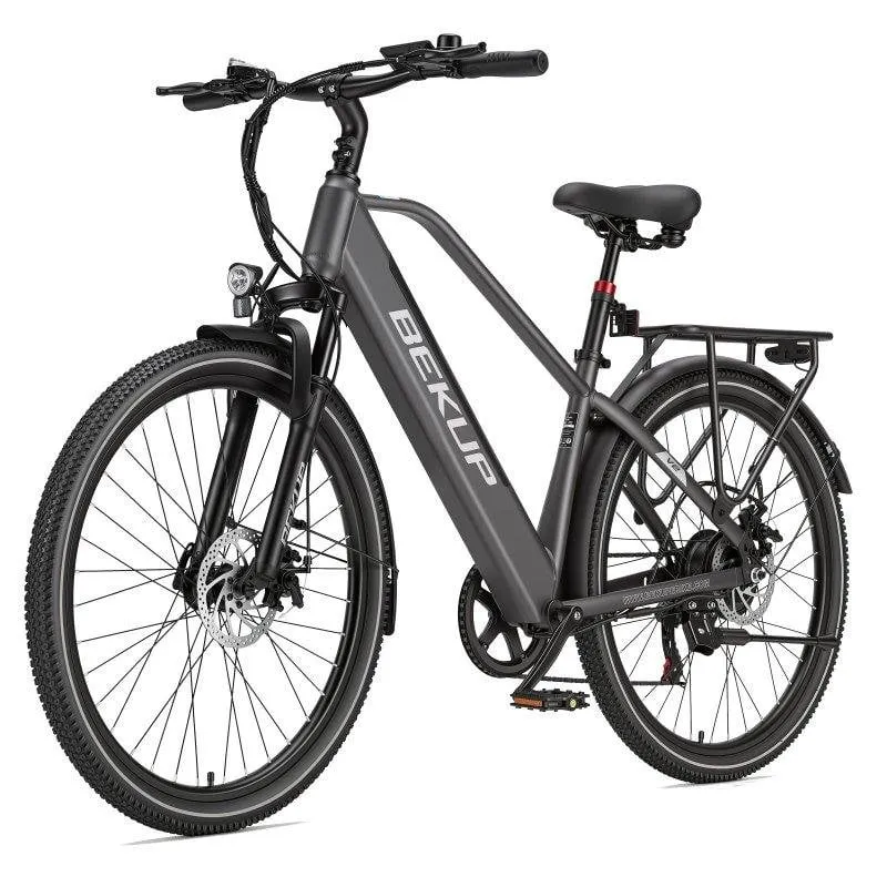 Bicicletta elettrica Bekup V2 250 W 36 V 14,5 Ah Shimano 7 velocita 26"