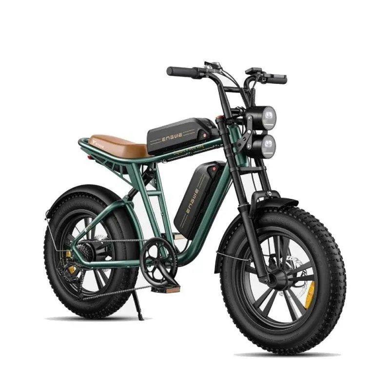 Bicicletta Elettrica Engwe M20 750W Doppia Batteria