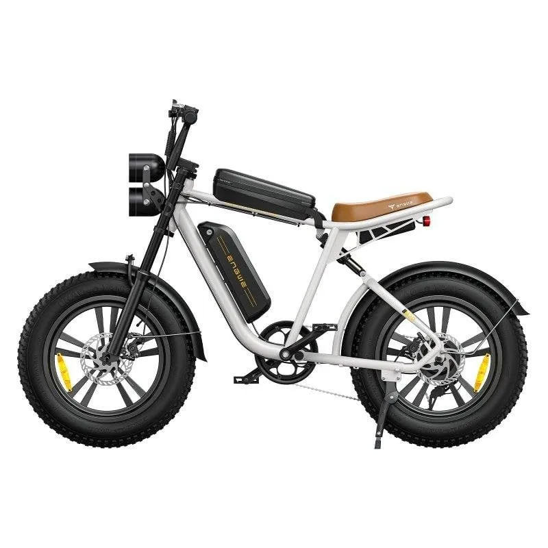 Bicicletta Elettrica ENGWE M20 750W doppia batteria 48V 13Ah pneumatici 20x4 pollici