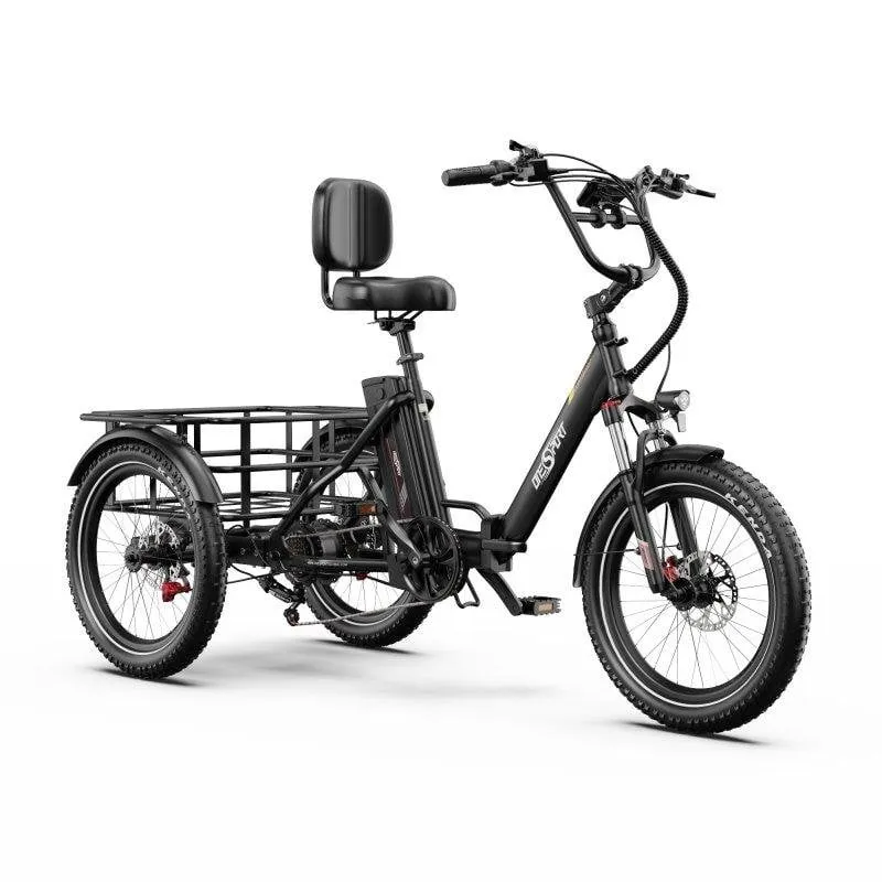 Triciclo elettrico OneSport OT30 Pro motore 500W doppia batteria 48V 18Ah