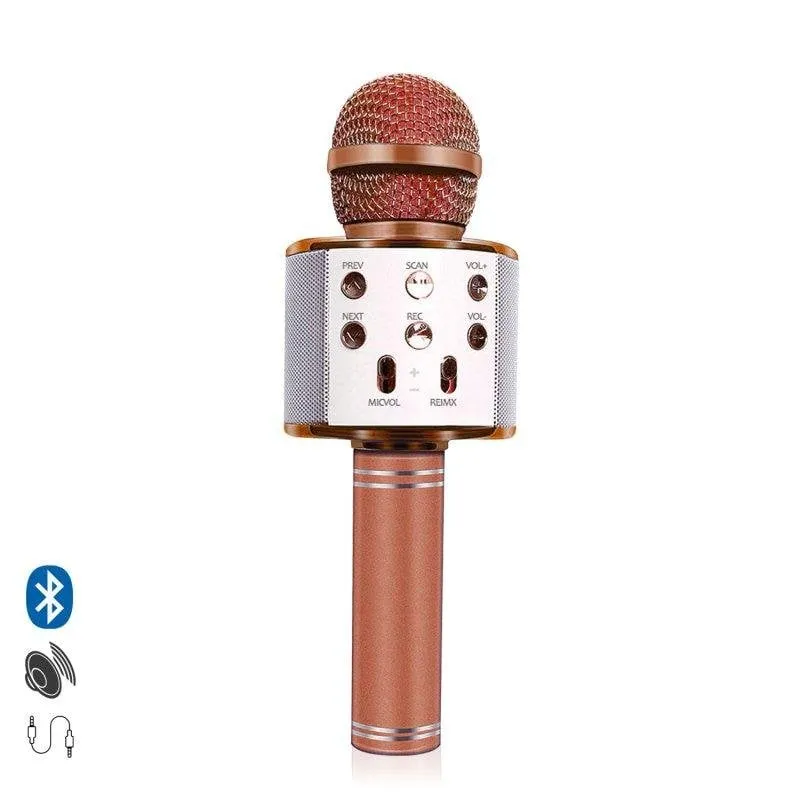 Microfono karaoke Dam Electronics Bluetooth con altoparlante integrato