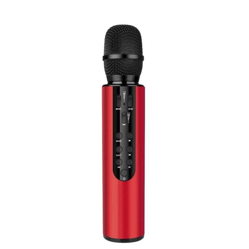 Microfono karaoke Dam Electronics a condensatore Bluetooth 5.0 con altoparlante