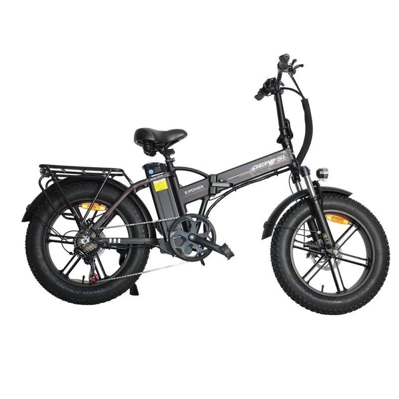 Velo Elettrico Baolujie DZ2002 Pneumatici larghi per tutti i terreni