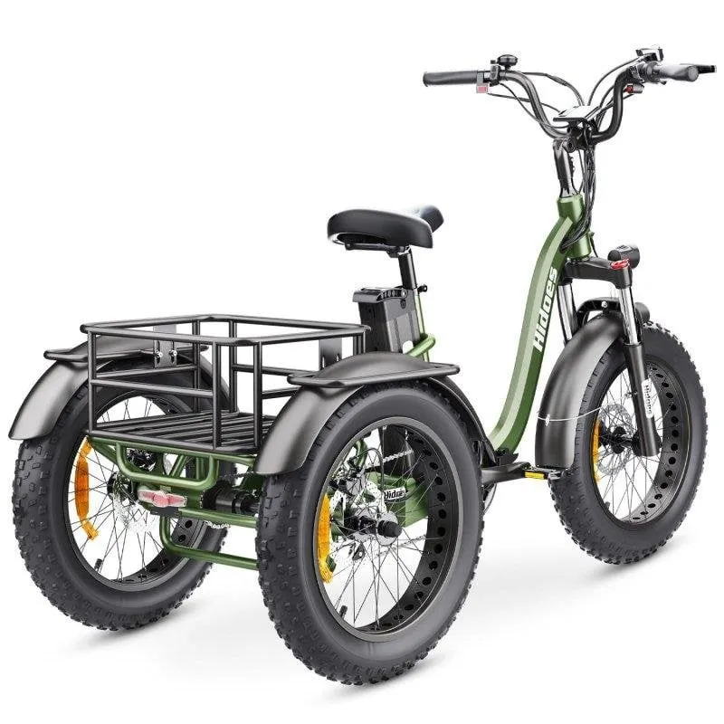 Triciclo elettrico Hidoes HD-ET1 750 W e batteria removibile 48 V 20 Ah